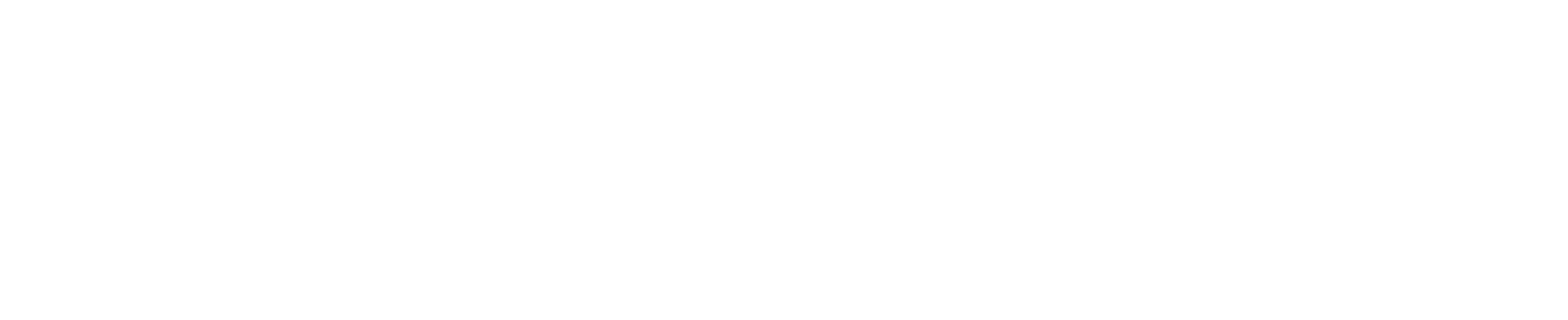 Healthy Home Summit